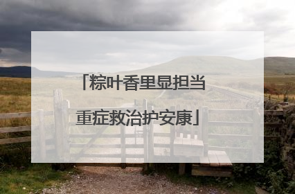 粽叶香里显担当 重症救治护安康